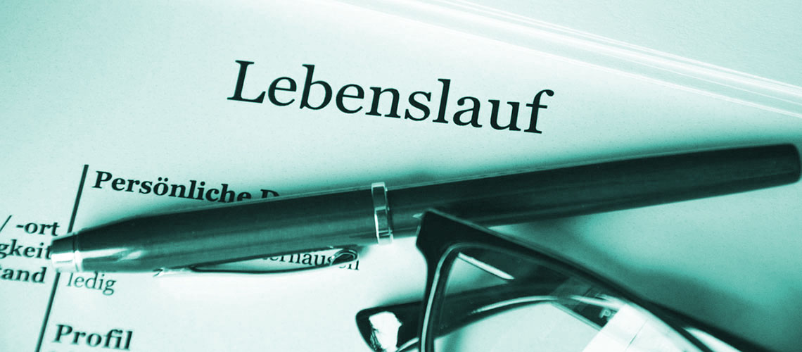 lebenslauf